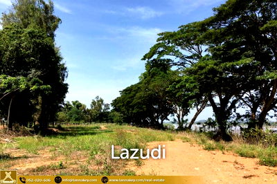 ที่ดิน เชียงราย : Land in Chiang Sean Next to The Mekong River