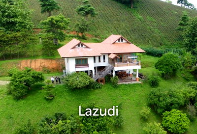 บ้านเดี่ยว เชียงราย : ขายบ้านบนเนินวิวภูเขาและเจ้าแม่กวนอิม วัดห้วยปลากั้ง