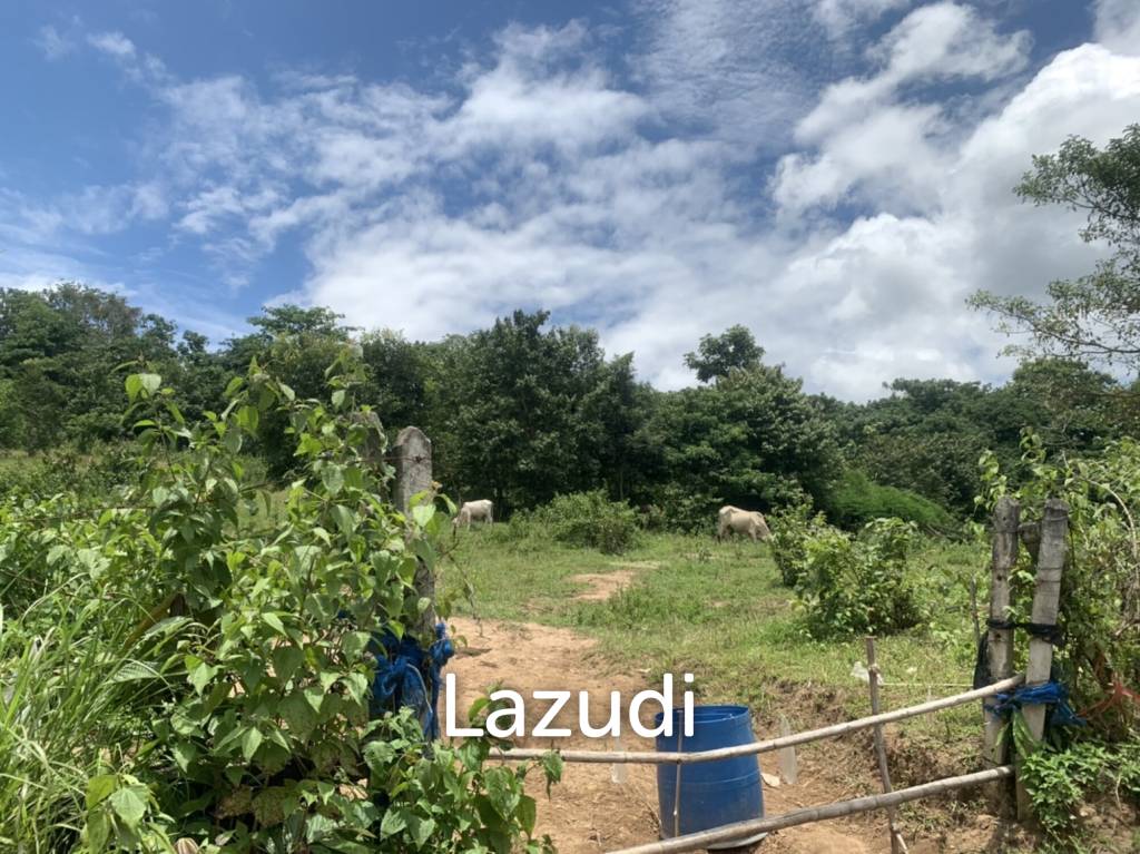 รูป ขายที่ดิน 47 ไร่บนเนิน วิวภูเขาสวย ราายล้อมด้วยธรรมชาติ - รูปที่ 14/16