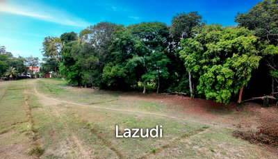 Land for sale Surat Thani : Prime Flat Land Plot Just 100m from Lipa Noi Beach – Koh Samui