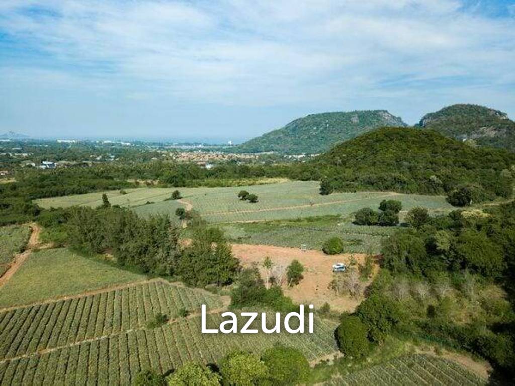 รูป 6,240.0 ตร.ม.ที่ดินสำหรับ ขายใน วังก์พง - รูปที่ 6/14