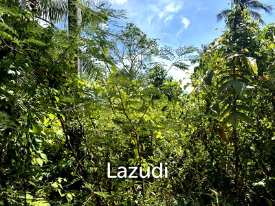 Land for sale Ko Phangan Surat Thani : Prime Sea View Land in Thong Nai Pan