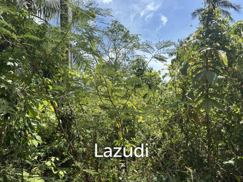 Prime Sea View Land in Thong Nai Pan
