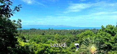 ที่ดิน สุราษฎร์ธานี : 420.0 ตร.ม.ที่ดินสำหรับ ขายใน เกาะพะงัน