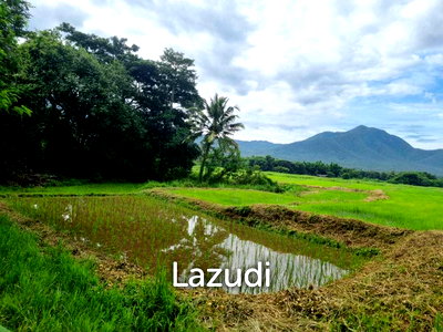 Land for sale : 47 Rai with Mountain Views at Mae On. All title deeds!