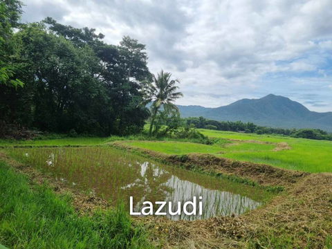 ขายที่ดิน 47 ไร่ท่ามกลางวิวภูเขาในอ.แม่ออน มีโฉนดทั้งหมด!