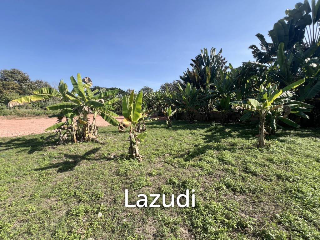 รูป ขายที่ดินสวย 1 งาน ถมแล้ว ที่ต.ริมกก ใกลัตัวเมืองเชียงราย - รูปที่ 13/16