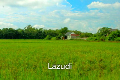 ที่ดิน เชียงราย : 27 Rai of Land for Sale