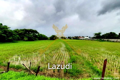 ที่ดิน เชียงราย : 8-3-0.5 Rai of Land in Baan Du for Sale