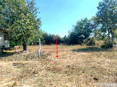 ที่ดิน ร้อยเอ็ด : ที่ดินว่างเปล่า 784 ตร.วา หนองฮี ร้อยเอ็ด 784,000