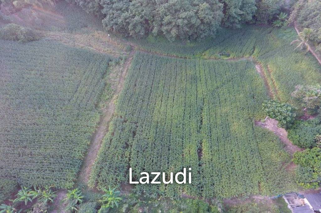 รูป 6 rai of land on Hill for Sale - รูปที่ 1/9