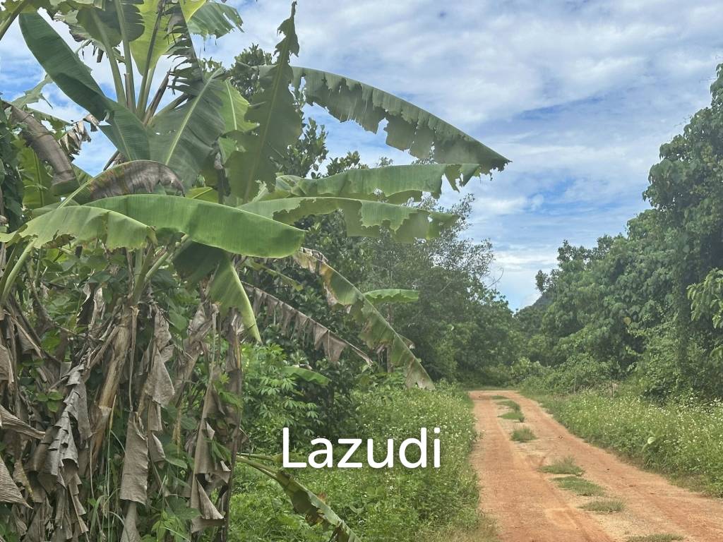 picture Prime 400 sqm Freehold Land in Ao Nang Krabi - 2/4