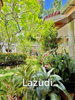 listing thumbnail image 25