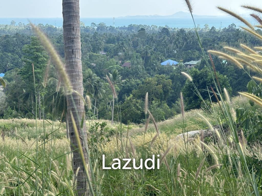 รูป 1,600.0 ตร.ม.ที่ดินสำหรับ ขายใน เกาะพะงัน - รูปที่ 5/24