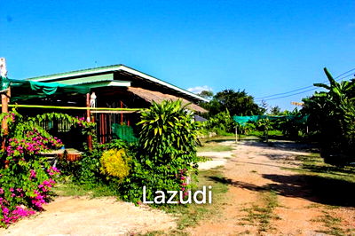 ที่ดิน เชียงราย : Sale of Land and Buildings