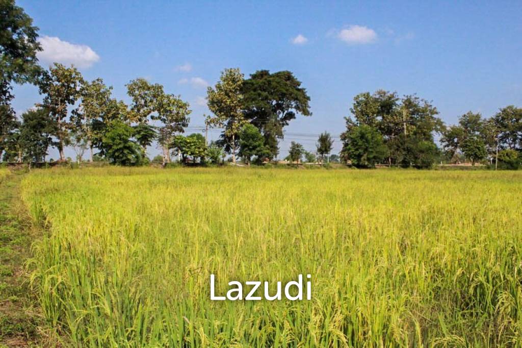 picture Large Land for Sale - 10/11