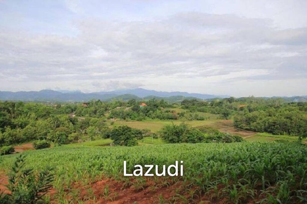 รูป 13 Rai Near to Wat Huay Plakang for Sale - รูปที่ 7/8