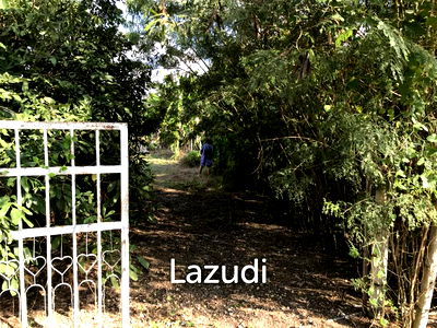 Land for sale Fang Chiang Mai  : Land in Saraphi District, Chiangmai, Thandand