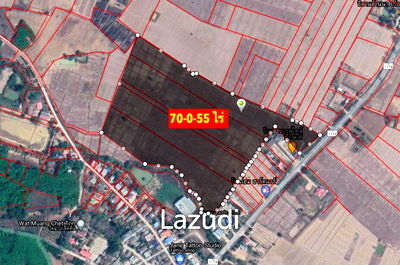 ที่ดิน เชียงราย : 70 rai of Land in Chiang Khong for Sale