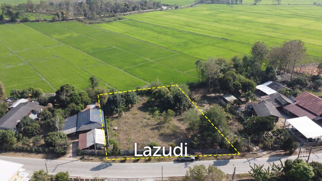 รูป ขายที่ดินเปล่า 1 ไร่วิวนาข้าวและภูเขาในอ.เวียงชัย - รูปที่ 19/20