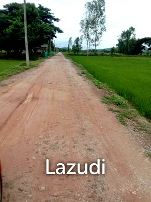 ที่ดิน เชียงราย : ขายที่ดิน 7 ไร่ 3 งานเป็นที่นาและวิวทุ่งนาสวย