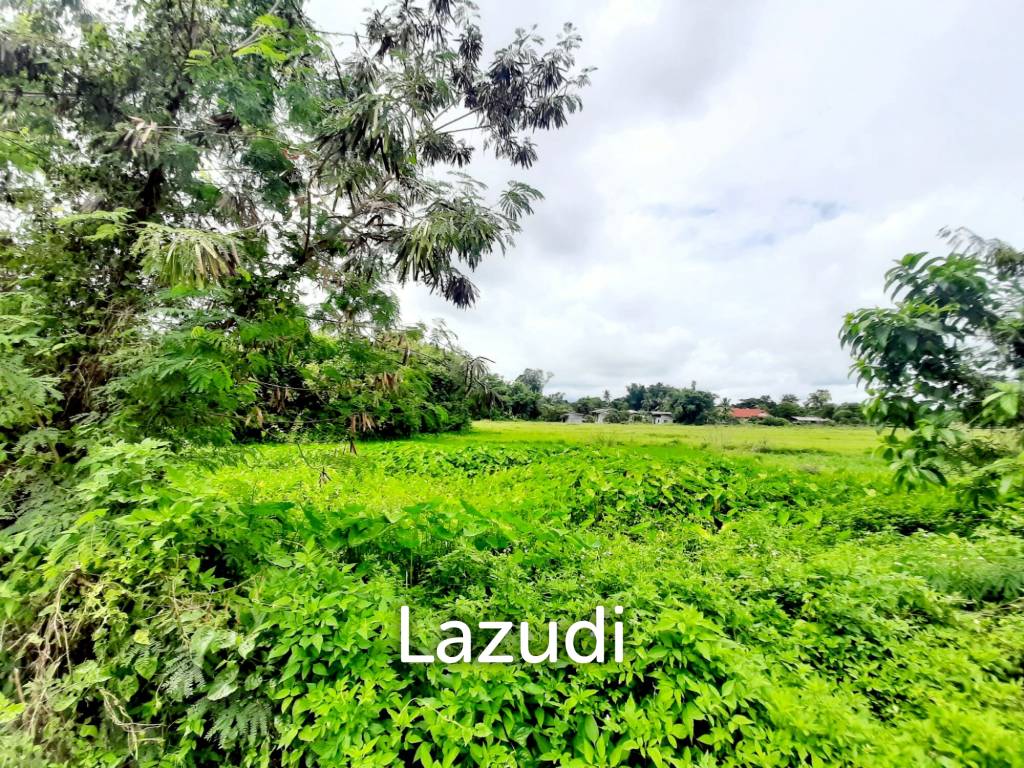 รูป ขายที่ดิน 1 ไร่ 2 งานในแหล่งชุมชนที่ ต.ห้วยสัก - รูปที่ 22/29