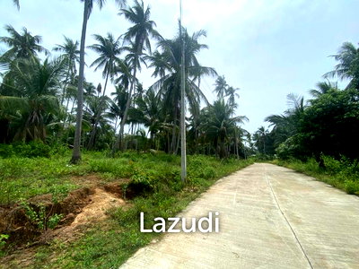 ที่ดิน สุราษฎร์ธานี : 1,092.0 ตร.ม.ที่ดินสำหรับ ขายใน บ้านใต้