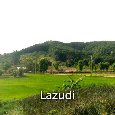 ที่ดิน เชียงราย : ขายที่ดิน 47 ไร่บนเนิน วิวภูเขาสวย ราายล้อมด้วยธรรมชาติ