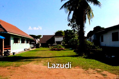 ที่ดิน เชียงราย : Beautiful Land for Sale