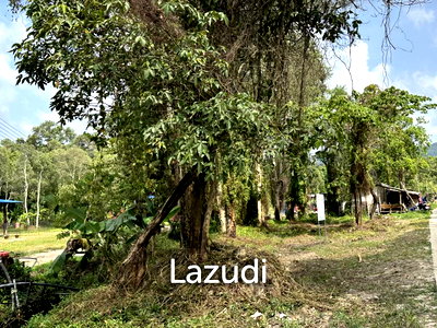 Land for sale : Rare Development Plot with Strong Potential in Woktum