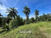 listing thumbnail image 21