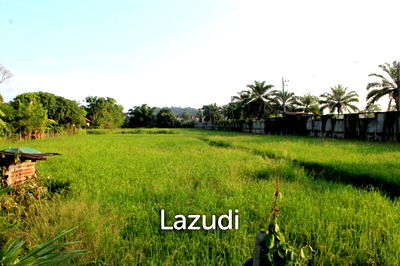 ที่ดิน เชียงราย : Sell the Best Land Best Location