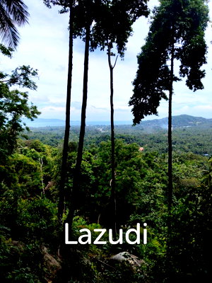 Land for sale Surat Thani : Land with Sea View – Koh Phangan