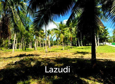 ที่ดิน สุราษฎร์ธานี : 400.0 ตร.ม.ที่ดินสำหรับ ขายใน เกาะพะงัน