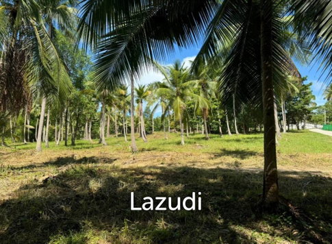 Prime Land for Sale in Beautiful Wok Tum, Koh Phangan!