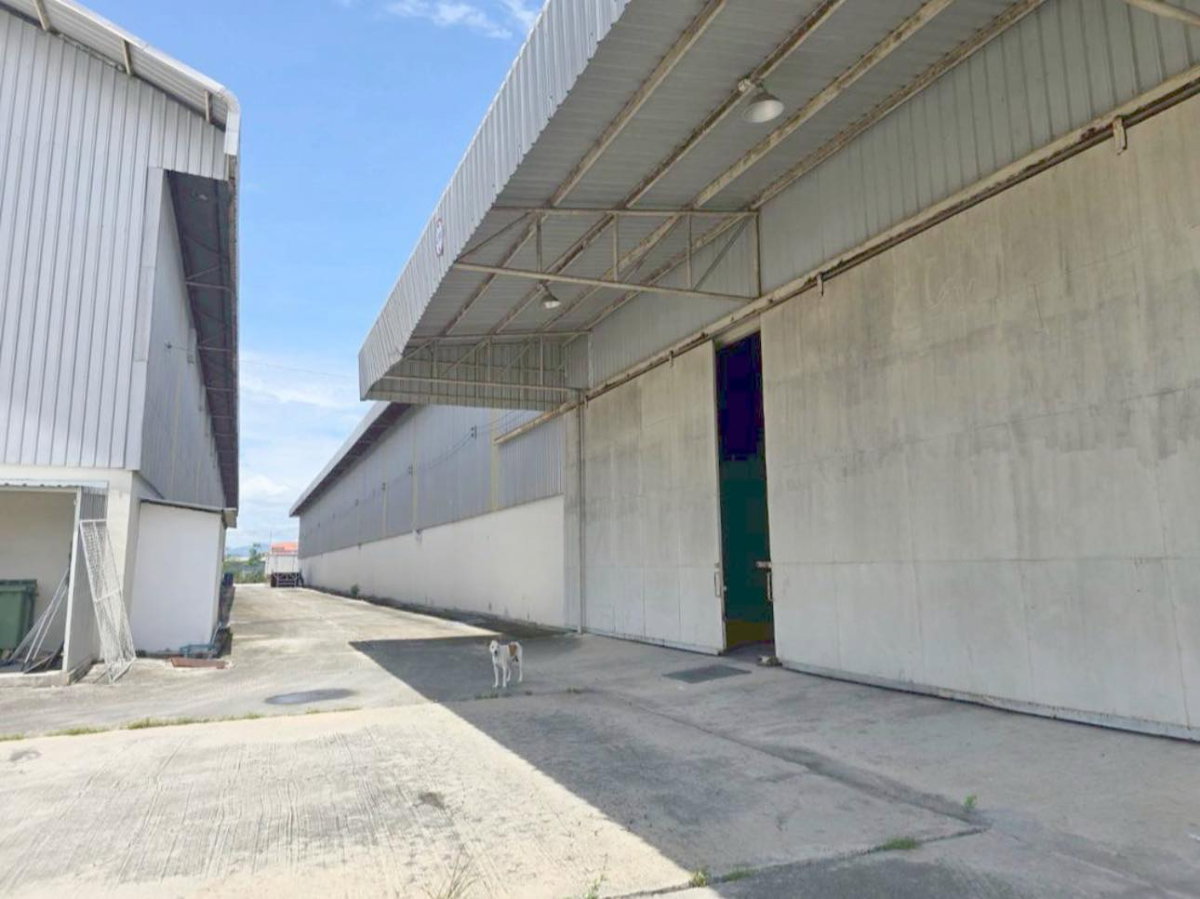 รูป ให้เช่า โกดัง/คลัง สินค้า 1600 ตรม. ผังเหลือง ใกล้อมตะพานทอง เฟส4-5-6 - รูปที่ 4/11