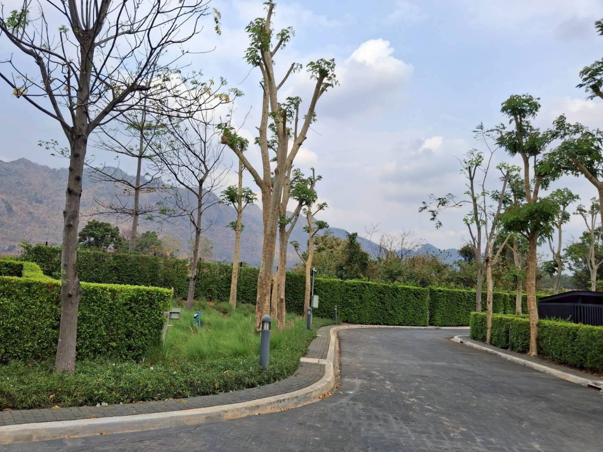 รูป ขายที่ดินเปล่า Pirom At Vineyard เขาใหญ่ ภิรมย์ แอท วินยาร์ด - รูปที่ 8/13