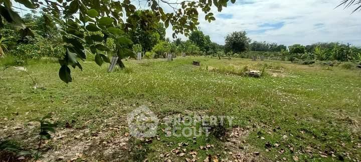 รูป ที่ดินสำหรับปล่อยขาย 3,476 ตารางเมตร แถว ใน กระทุ่มราย (ID 2583539) - รูปที่ 6/9