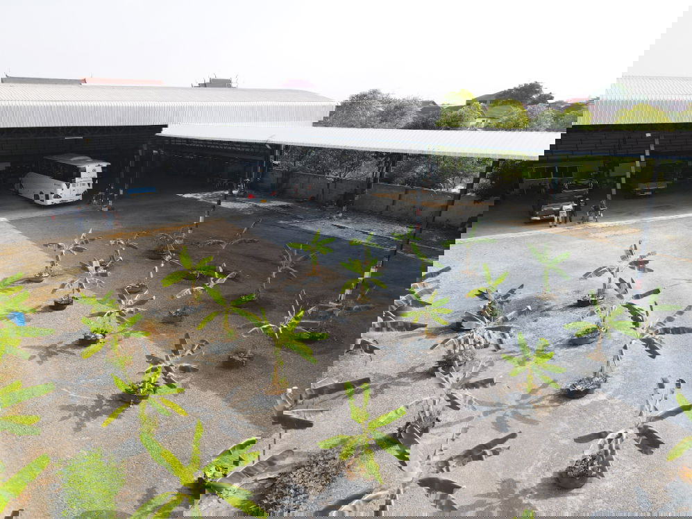 รูป  ให้เช่าสำนักงานและอู่รถบัส เนื้อที่ 2 ไร่ 2 งาน 73 ตารางวา ซอยวัดบุญชื่นชู บางพูน ปทุมธานี ราคาสุดคุ้ม รีบทักมา - รูปที่ 8/8