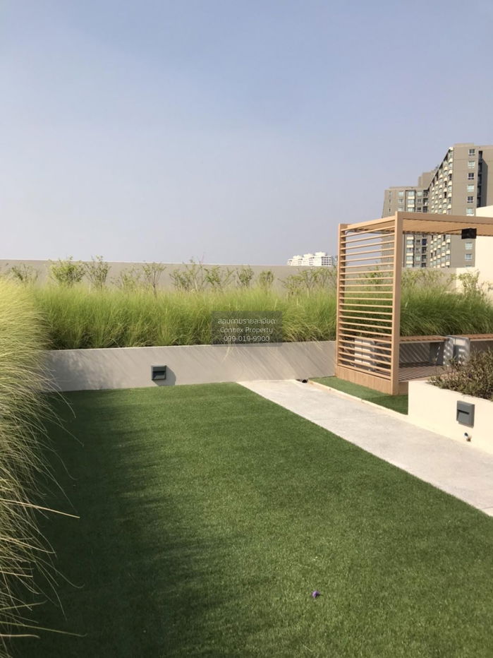 รูป เช่าคอนโด โคคูน พระราม 9 สวนหลวง เขต สวนหลวง กรุงเทพ CX-119717 ✅ ทักไลน์ @connexproperty ตอบทันที ทีมงานมืออาชีพ ✅ - รูปที่ 12/12