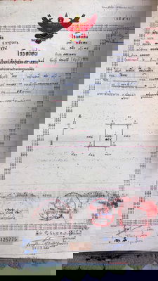 ที่ดิน รร.ธัญรัตน์ : "ขายที่ดินคลองหก ทำเลศักยภาพใกล้ มทร.ธัญบุรี! 🌳