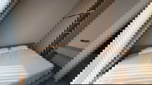 For rent Siamese Exclusive 42 🔴🔴