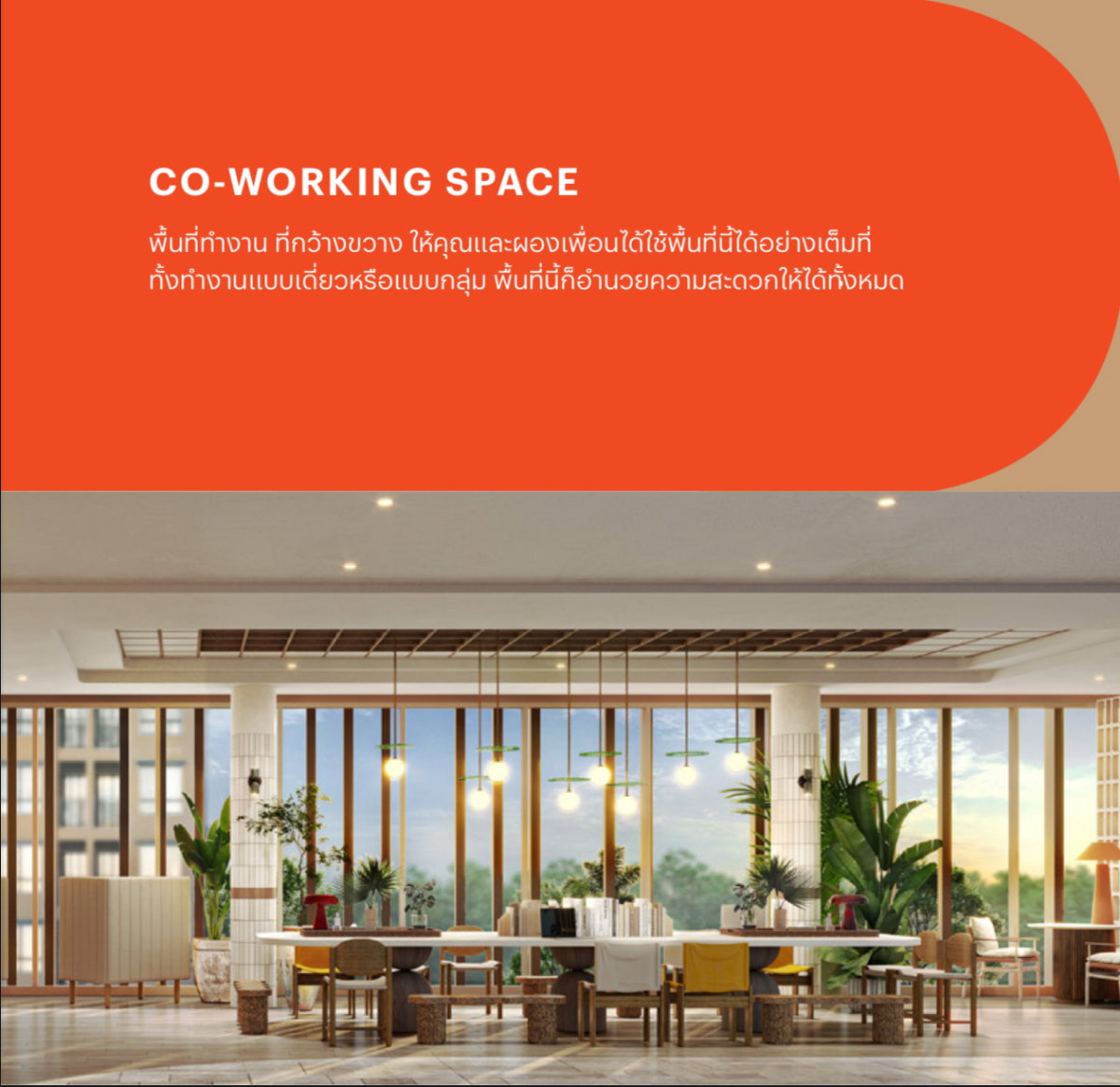 Dcondo Cove brandnew condo in Kathu by Sansiri - image 3