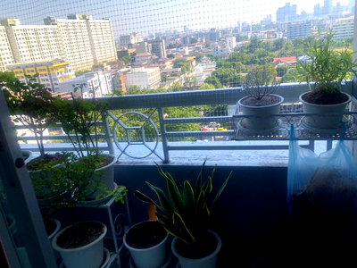 ขายคอนโด : ขายคอนโด ลุมพินี วิลล์ สุขุมวิท 77 อาคาร2 ชั้น 11 2 นอน 2 น้ำ  พื้นที่ 65.5 ตรม ใกล้ BTS อ่อนนุช วิวเมือง 