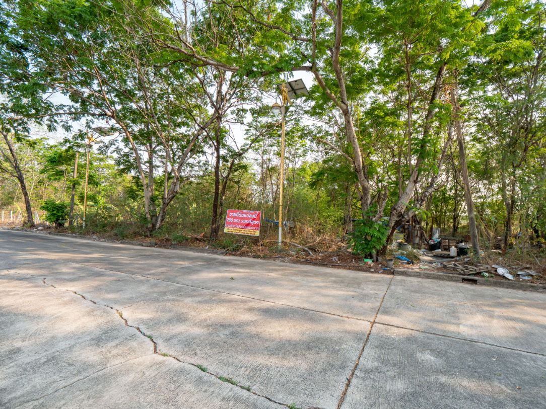 รูป #ขายที่ดิน #แปลงสวยทำเลดี #ราคาดีสุดๆ #ขายต่ำกว่าประเมินเยอะมาก #หมู่บ้านกรีนเลค บางนา-ตราด ขนาดที่ดิน 290 ตรว. - รูปที่ 11/36