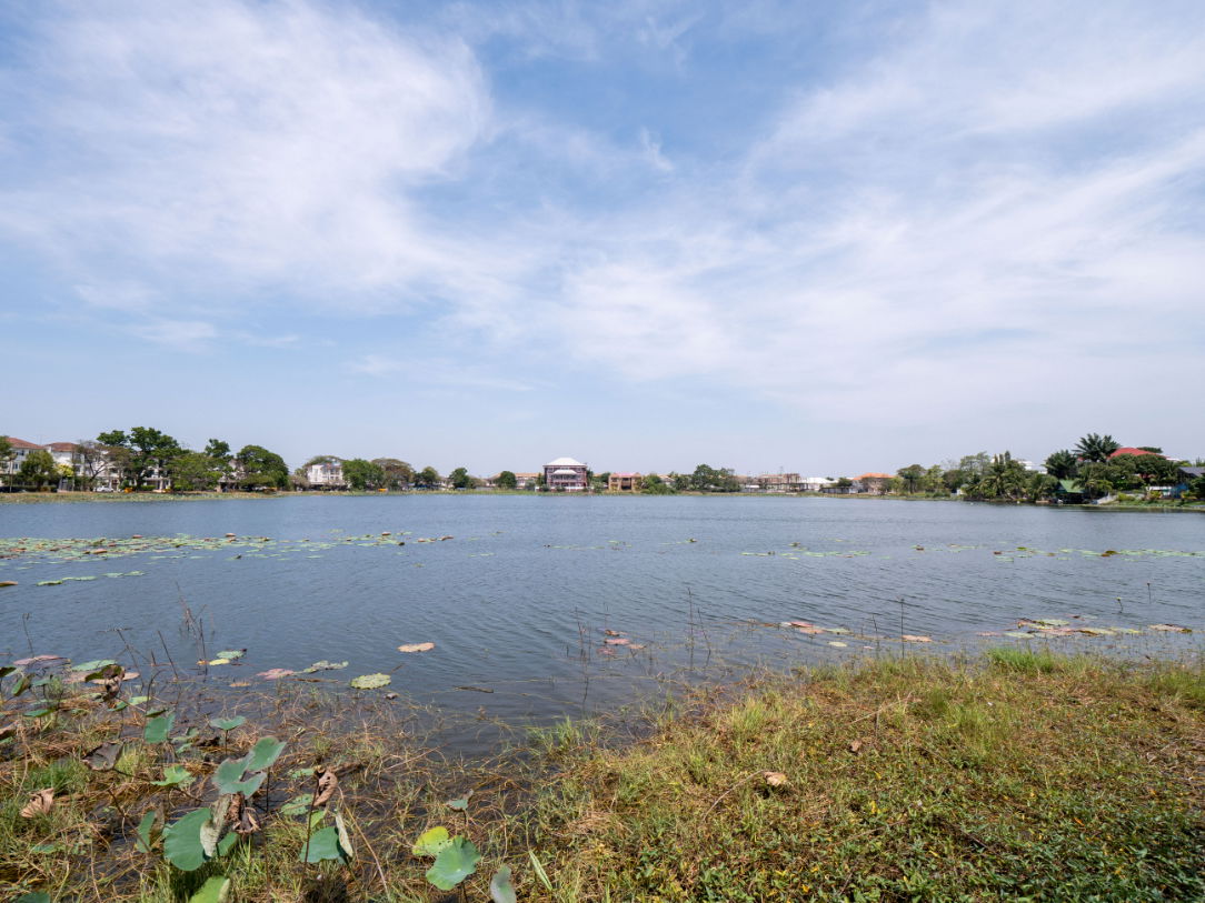 รูป #ขายที่ดิน #แปลงสวยทำเลดี #ราคาดีสุดๆ #ขายต่ำกว่าประเมินเยอะมาก #หมู่บ้านกรีนเลค บางนา-ตราด ขนาดที่ดิน 290 ตรว. เราขายต่ำกว่าประเมินธนารักษ์ - รูปที่ 30/36