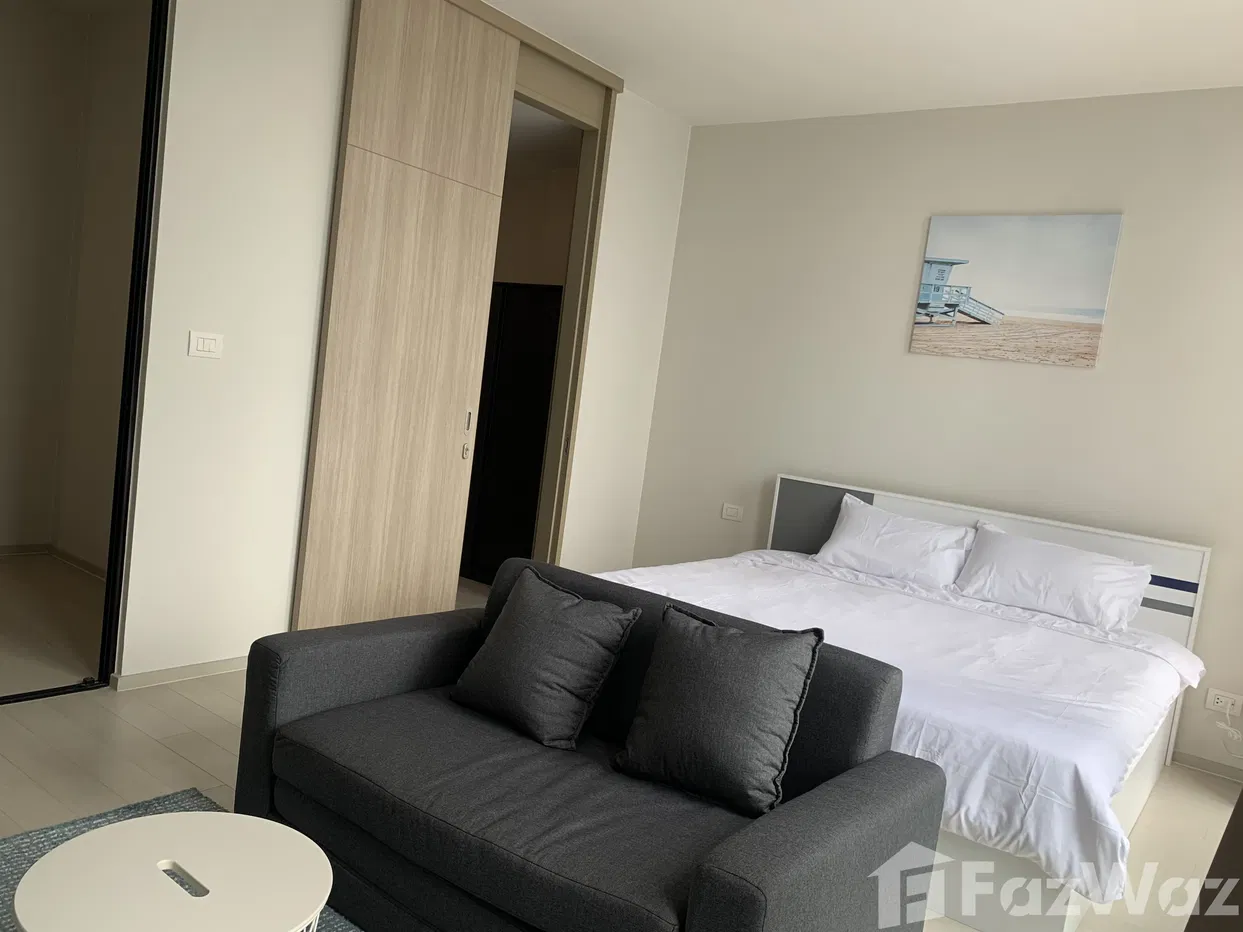 picture . 1978448 - 5/11