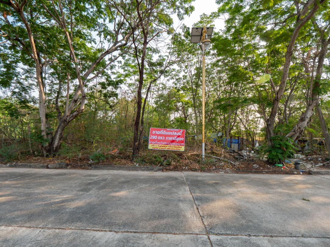 รูป #ขายที่ดิน #แปลงสวยทำเลดี #ราคาดีสุดๆ #ขายต่ำกว่าประเมินเยอะมาก #หมู่บ้านกรีนเลค บางนา-ตราด ขนาดที่ดิน 290 ตรว. เราขายต่ำกว่าประเมินธนารักษ์ - รูปที่ 9/36