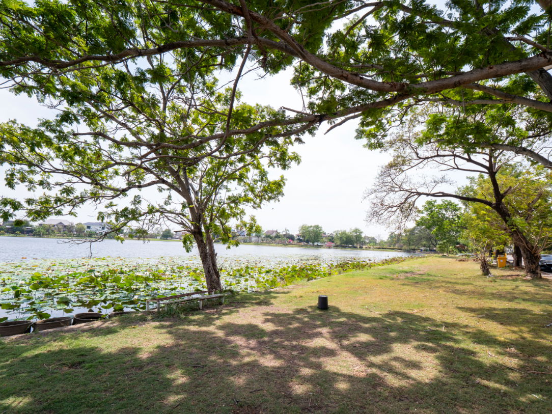 รูป #ขายที่ดิน #แปลงสวยทำเลดี #ราคาดีสุดๆ #ขายต่ำกว่าประเมินเยอะมาก #หมู่บ้านกรีนเลค บางนา-ตราด ขนาดที่ดิน 290 ตรว. - รูปที่ 27/36