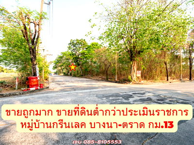 ขายที่ดิน : #ขายที่ดิน #แปลงสวยทำเลดี #ราคาดีสุดๆ #ขายต่ำกว่าประเมินเยอะมาก #หมู่บ้านกรีนเลค บางนา-ตราด ขนาดที่ดิน 290 ตรว.